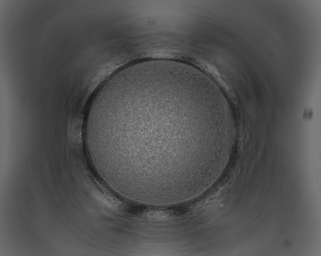 X0000091520299200708241655
