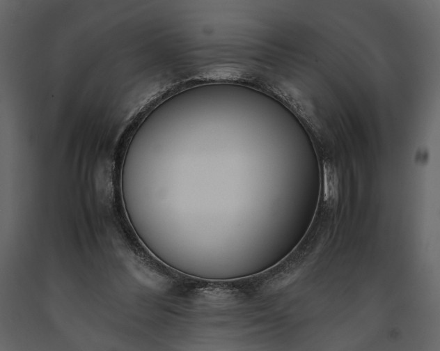 X0000091520300200708241655