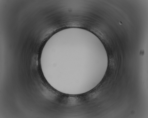 X0000091520302200708241655