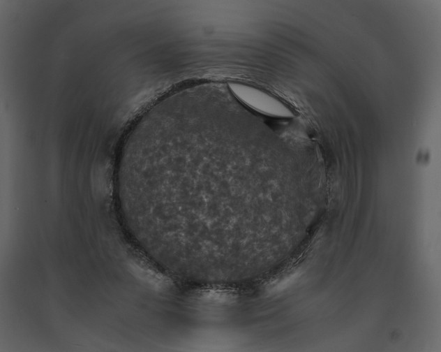 X0000091520303200708241655