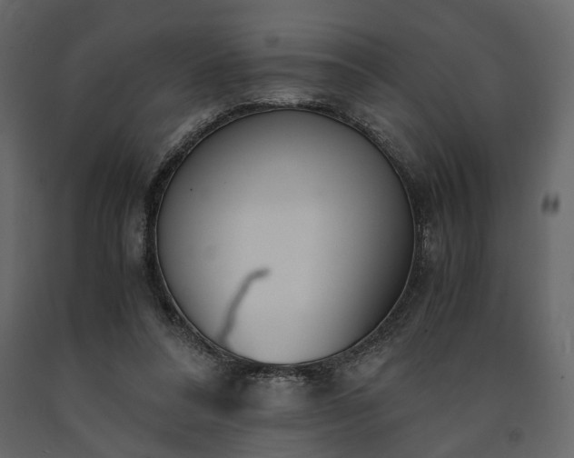 X0000091520304200708241655