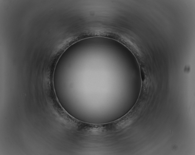 X0000091520306200708241655