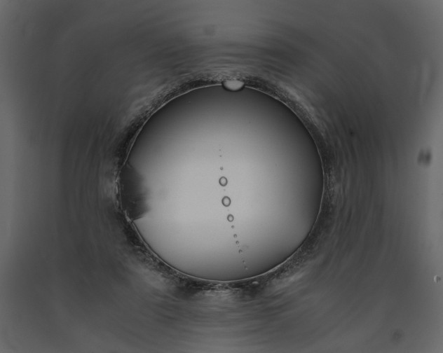 X0000091520307200708241655