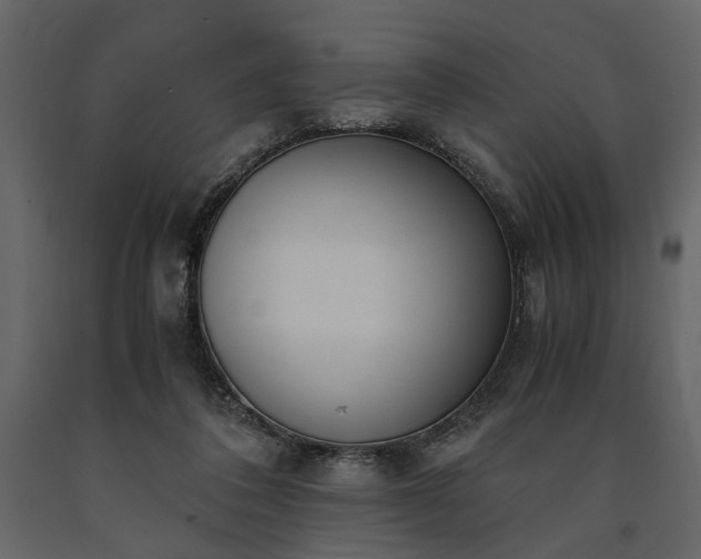 X0000091520308200708241655