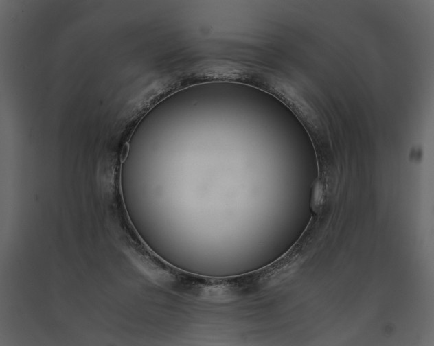 X0000091520309200708241655
