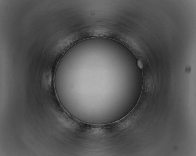 X0000091520310200708241655