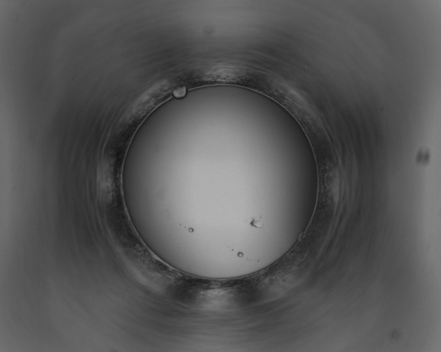 X0000091520312200708241655