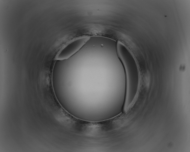 X0000091520313200708241655