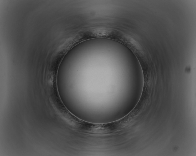 X0000091520315200708241655