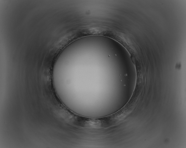 X0000091520317200708241655