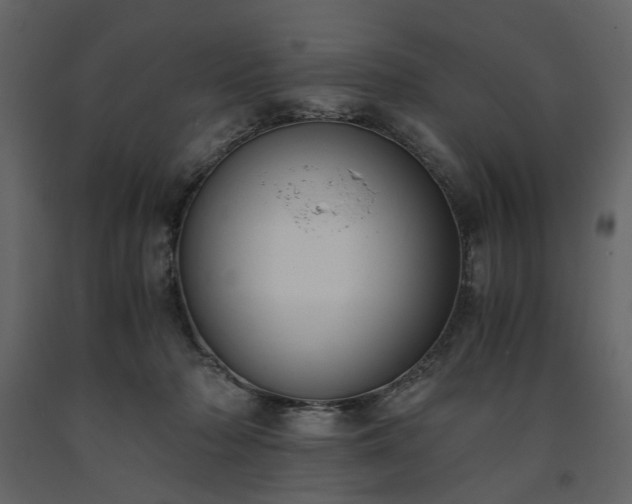 X0000091520318200708241655