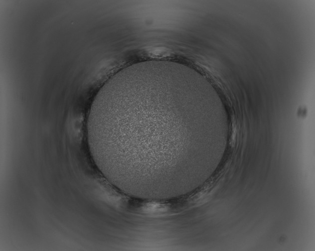X0000091520319200708241655