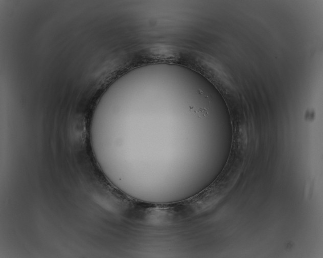 X0000091520320200708241655