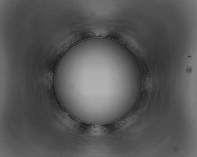 X0000091520321200708241655