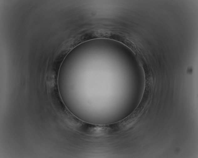 X0000091520323200708241655