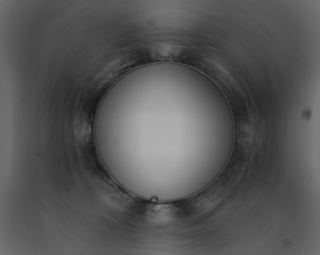 X0000091520324200708241655