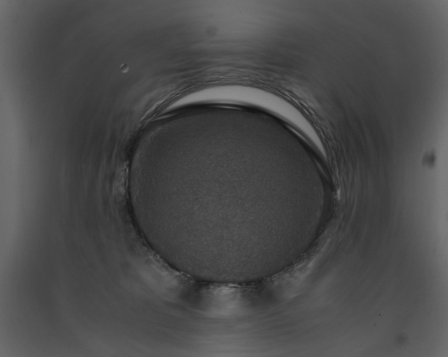X0000091520325200708241655