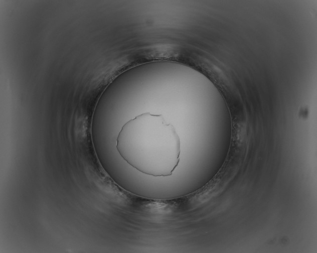 X0000091520326200708241655