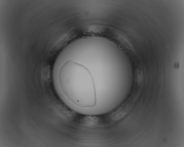 X0000091520328200708241655