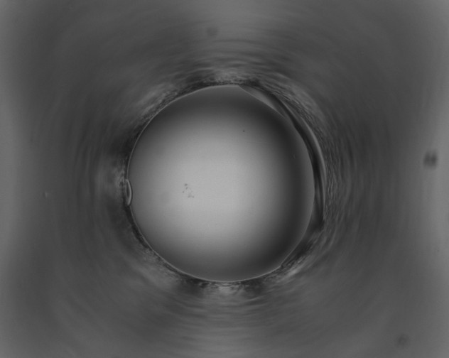 X0000091520329200708241655