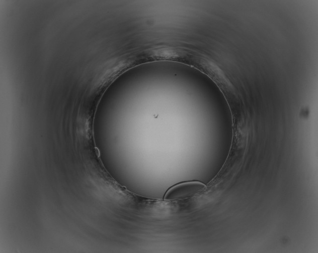X0000091520330200708241655