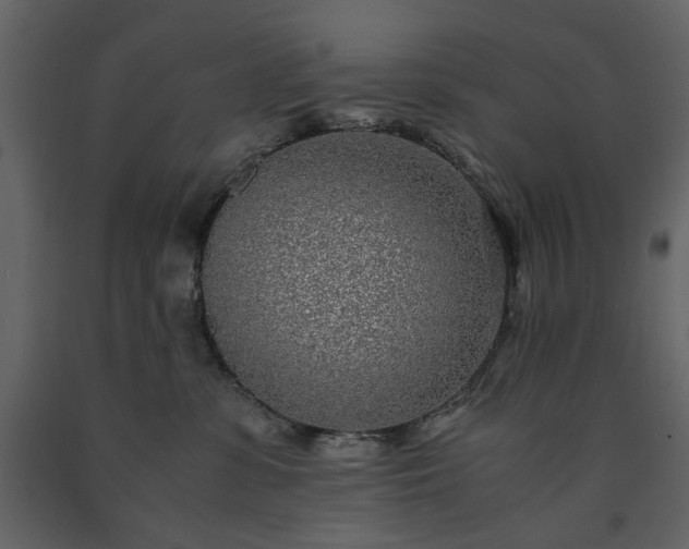 X0000091520331200708241655