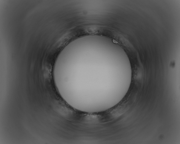 X0000091520332200708241655