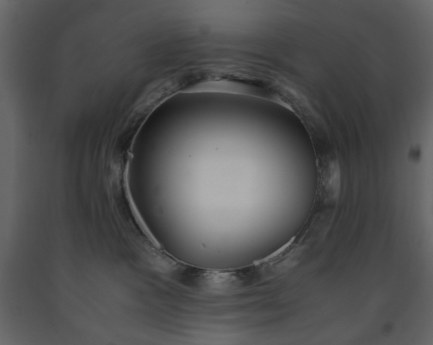 X0000091520333200708241655