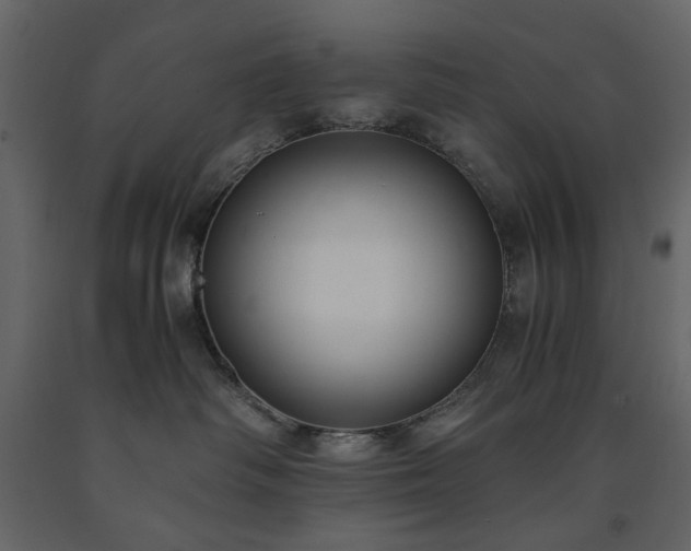 X0000091520334200708241655