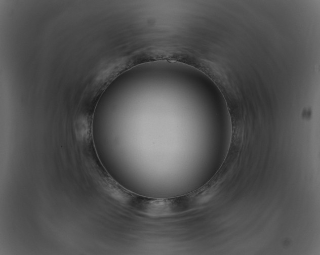X0000091520335200708241655