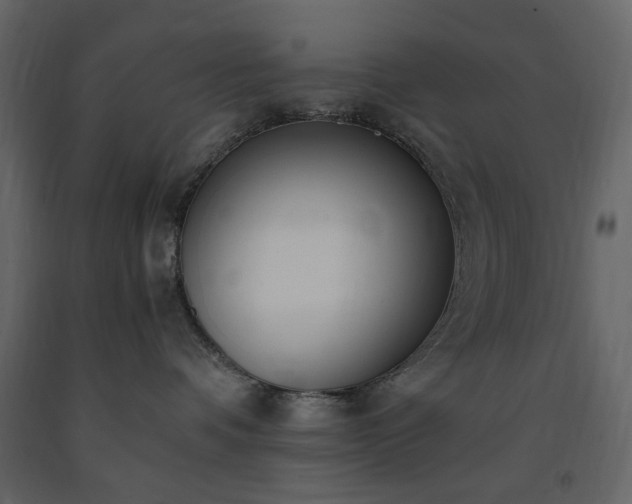 X0000091520336200708241655