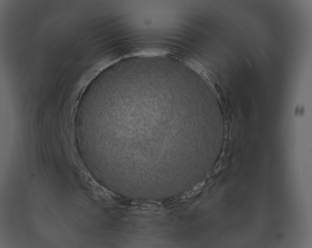 X0000091520337200708241654