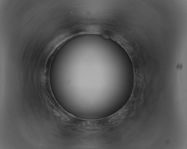 X0000091520338200708241654