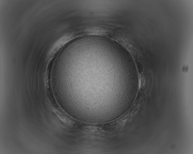X0000091520339200708241654