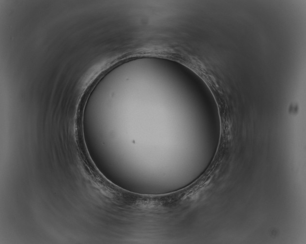 X0000091520340200708241654