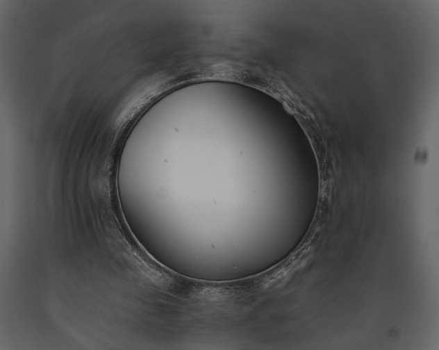 X0000091520341200708241654