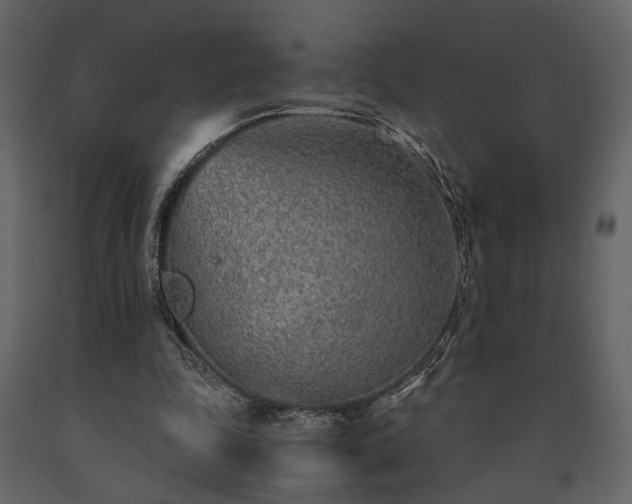 X0000091520343200708241654