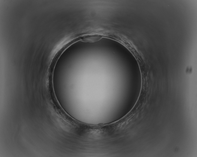 X0000091520344200708241654