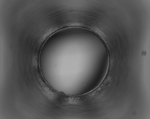 X0000091520345200708241654