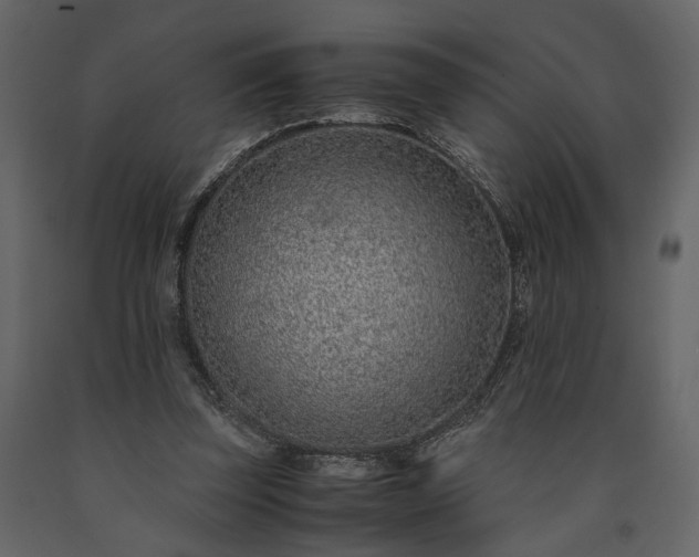 X0000091520347200708241654