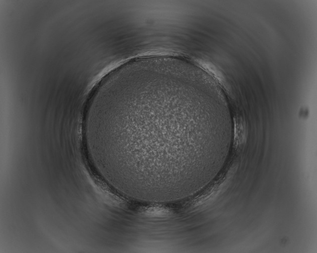 X0000091520348200708241654