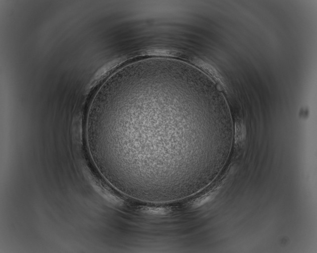 X0000091520349200708241654