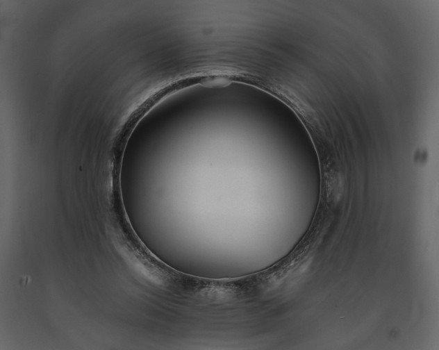 X0000091520350200708241654