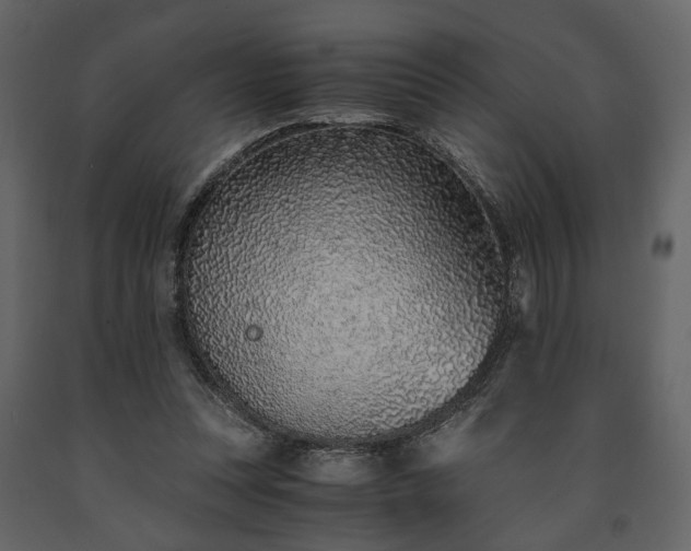 X0000091520351200708241654
