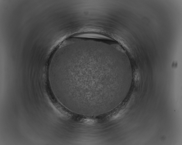 X0000091520352200708241654