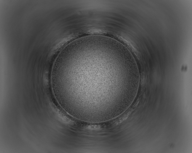 X0000091520353200708241654
