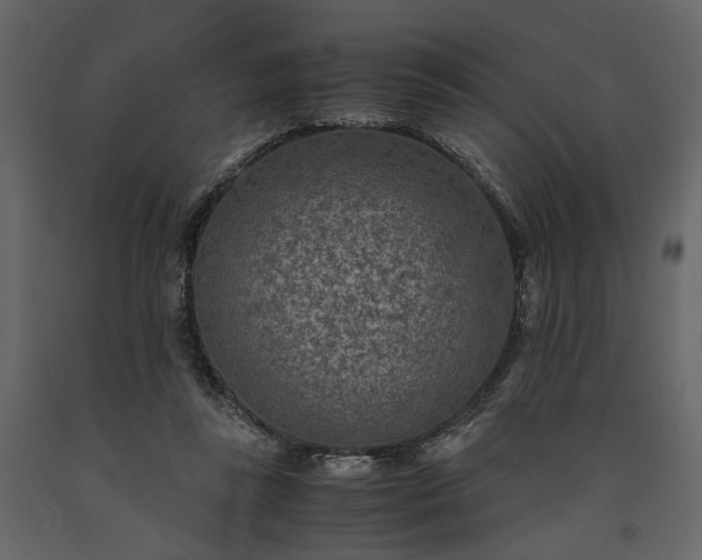 X0000091520355200708241654
