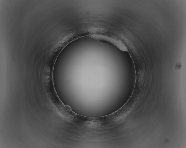 X0000091520356200708241654