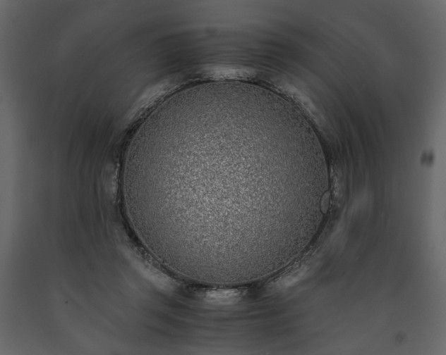 X0000091520357200708241654