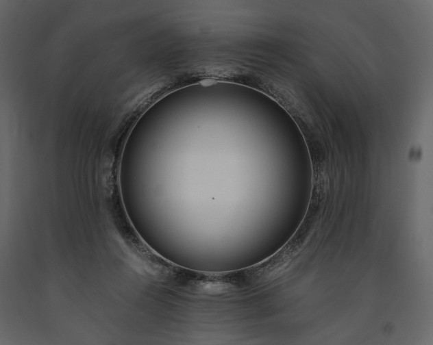 X0000091520360200708241654